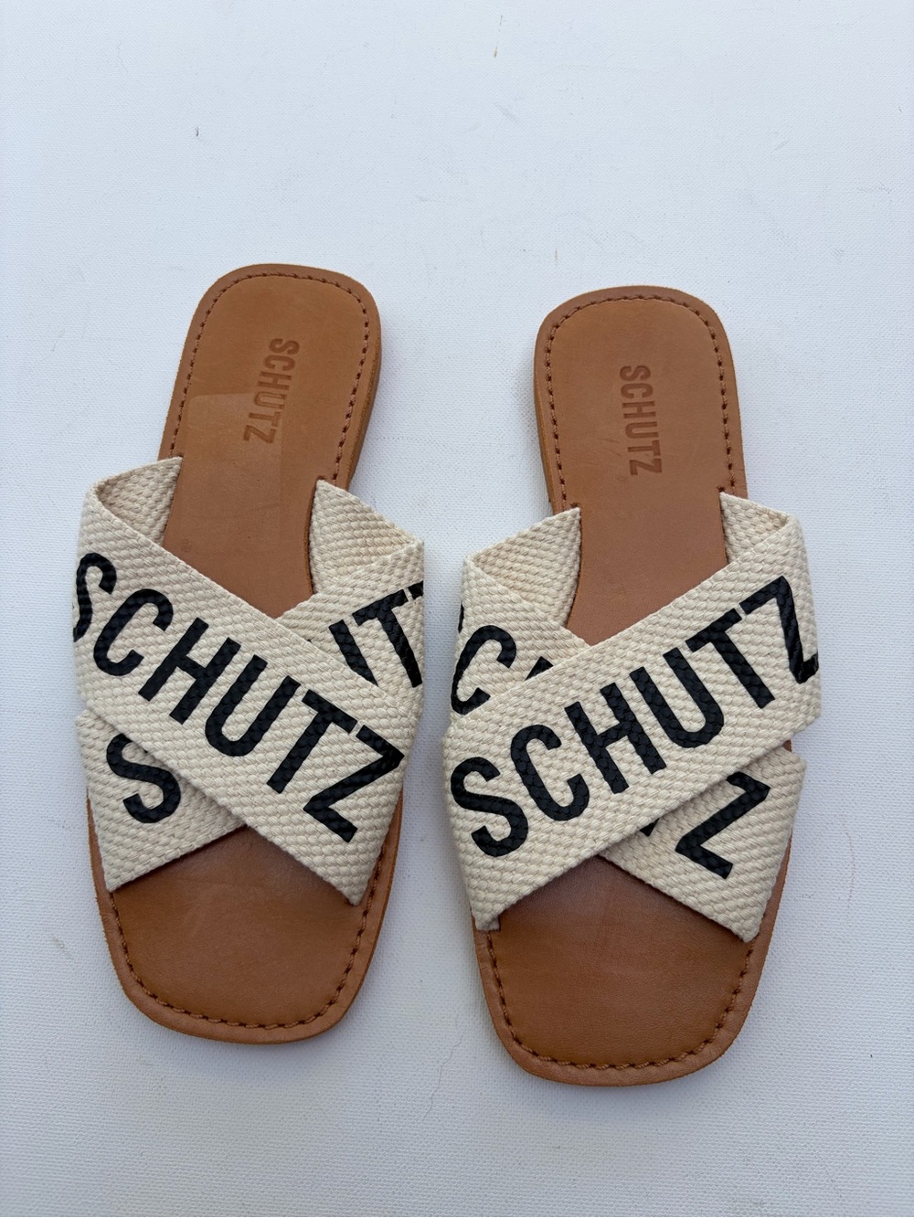 Schutz Logo Print Slides